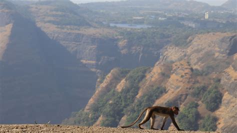 A Visit To Tiger Point Lonavala | Tiger Point in Monsoon