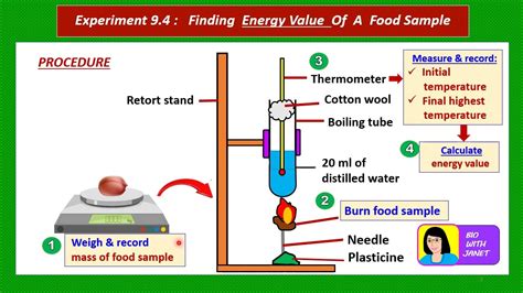 BIOLOGY PAPER 3 ENERGY VALUE EXPERIMENT - YouTube