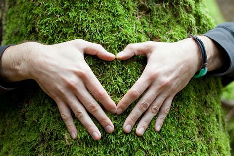 Tiredearth | 25+ Fabulous Ways to Protect Trees and Conserve Forests