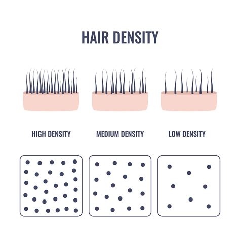 Hair Density: What Is Yours and Why Is it Important?