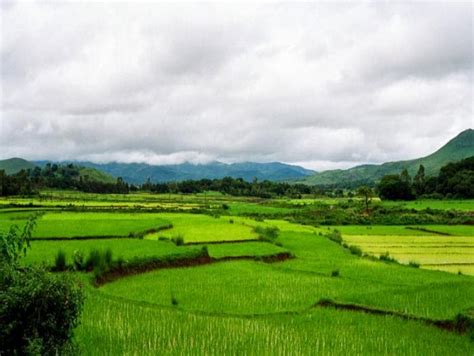 Vizag - Araku valley tourist information - Hi Vizag