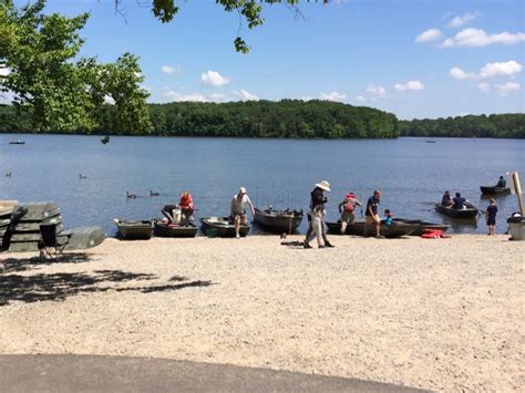 Hike Bike Paddle and Play Around Burke Lake Park in Northern VA