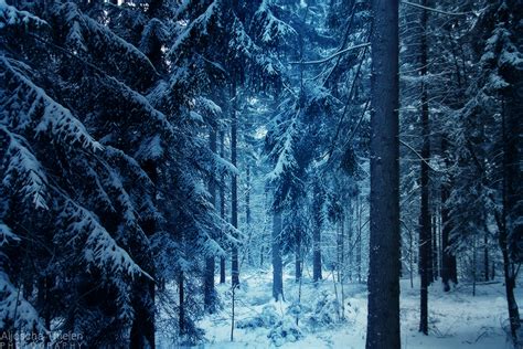 Winter in Narnia by AljoschaThielen on DeviantArt