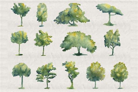 Collection of 44 Watercolor Trees | Watercolor trees, Tree photoshop, Photoshop rendering