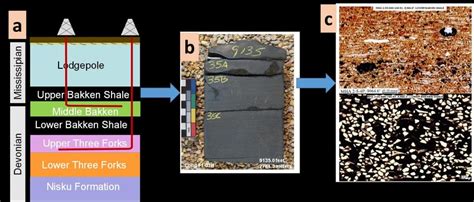 a)Major lithostratigraphic units of Bakken Formation; b)core photo of ...