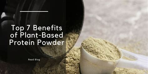 7 Benefits of Plant-Based Protein Powder– The Trost