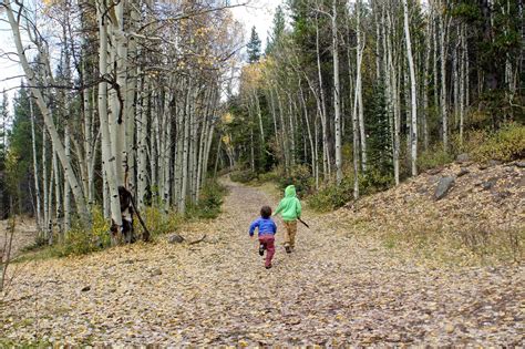 Sparrows & Spatulas: fall hiking in colorado + farmhand's choice granola