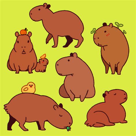 biskyfresh: capybaras r cute :-) - Tumblr Pics
