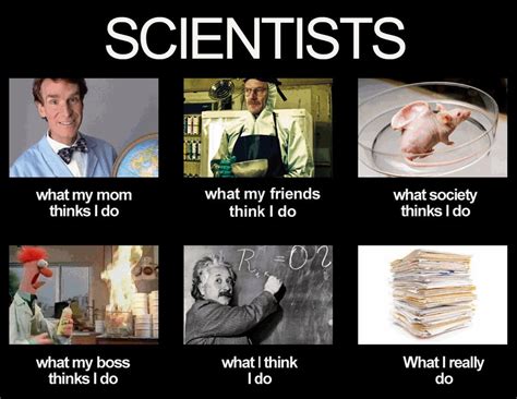 10 memes pay cheeky tribute to scientists - Careers | siliconrepublic ...