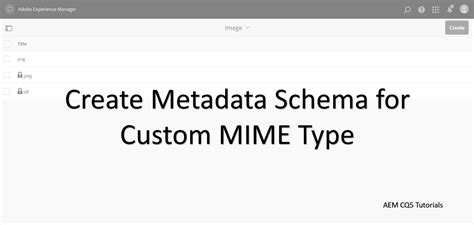 metadata schema form for custom mime types – AEM CQ5 Tutorials