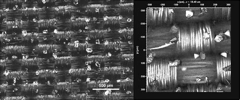 (a) Confocal laser scanning microscope image of ammonium perchlorate ...