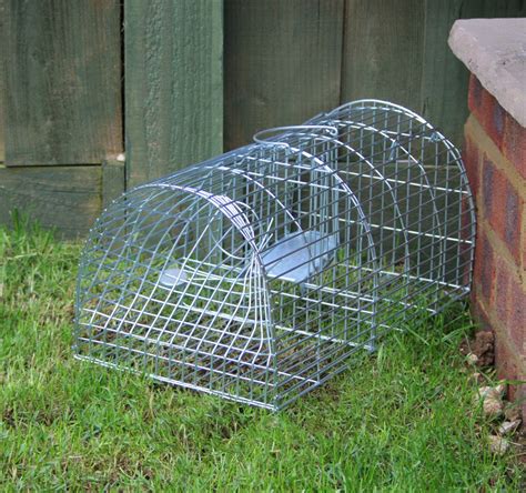 NEW SQUIRREL RAT VERMIN RODENT METAL MEDIUM LARGE CAGE TRAPS PEST ...