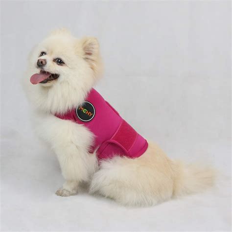 Amazon.com : MCHY Dog Anxiety Vest, Anxiety Relief for Dogs, Dog ...