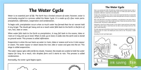 The Water Cycle Explanation Writing Sample-Australia - literacy