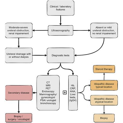 Algorithm on diagnosis and management of retroperitoneal fibrosis. | Download Scientific Diagram