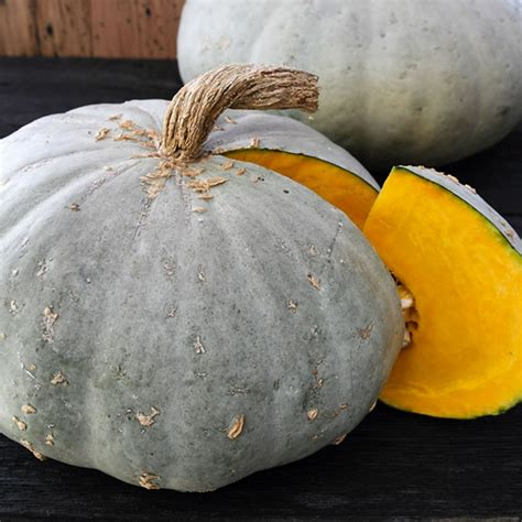 Sweet Meat Squash - 4 g ~13 Seeds - Heirloom, Open Pollinated, Non-GMO ...