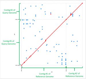 Whole genome alignment using NUCMER – EzBioCloud Help center