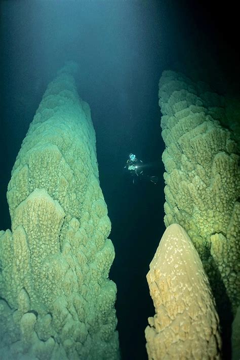 Bonito Caves: Cave Diving in Brazil | X-Ray Mag