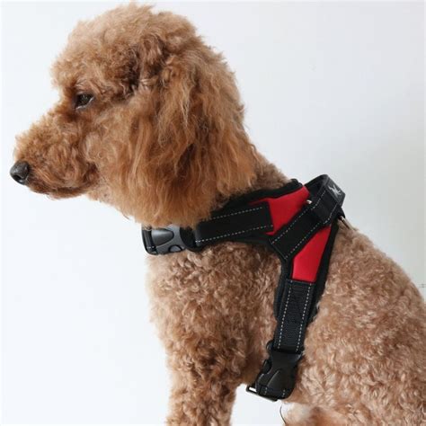 Dog Harness - For Small Medium Large Outdoor Easy Put On and Off