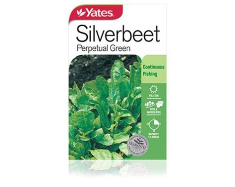 Silverbeet Perpetual Green | Vegetables | Yates Seeds for Gardens