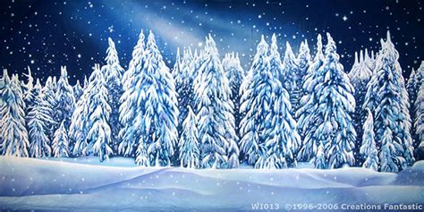 Backdrop Winter Wonderland | Backdrops Fantastic