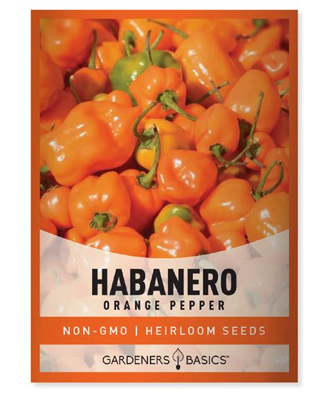 Orange Habanero Pepper Seeds – Gardeners Basics