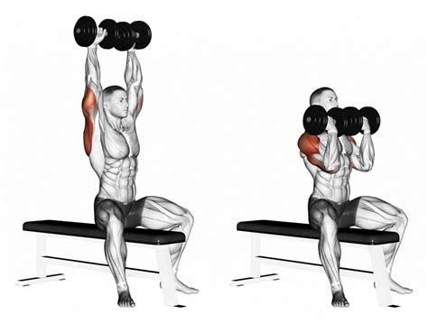 How To Do An Arnold Dumbbell Press For Schwarzenegger Shoulders