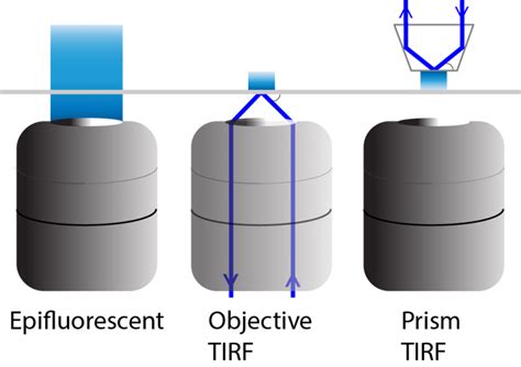 Total Internal Reflection Fluorescence (TIRF) Microscopy