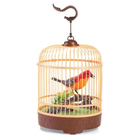 Sound Activated Singing Bird in Cage | Collections Etc.