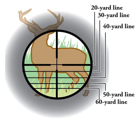 Crossbow Deer Hunting Tips - Whitetail vs Crossbow