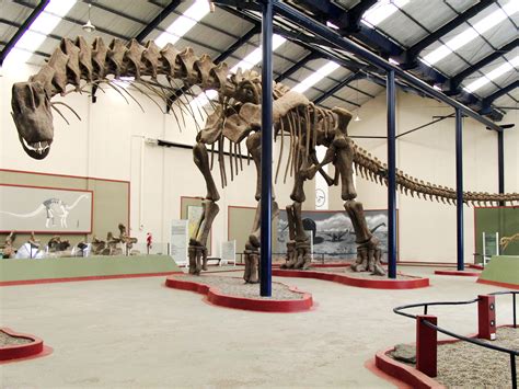 Image: Argentinosaurus skeleton, PLoS ONE