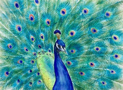 Peacock Colors Painting by Lyn DeLano