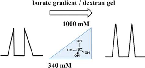 蛋白质十二烷基硫酸钠毛细管凝胶电泳中的电迁移分散,Analytical Chemistry - X-MOL