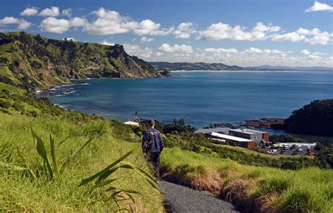 Goat Island Marine Reserve - Escape to Leigh