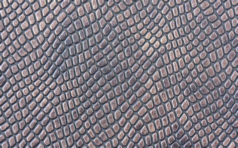 4K free download | Gray snake skin reptile skin, macro, gray skin textures, gray snake, leather ...