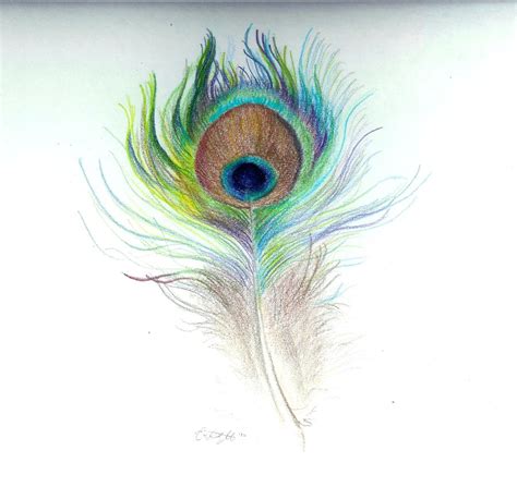 Free Simple Colorful Peacock Drawing, Download Free Simple Colorful ...