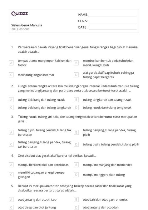 Detail Gambar Sistem Gerak Manusia Lengkap Koleksi No - vrogue.co