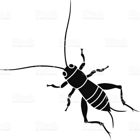 cricket insect in black and white royalty-free stock vector art | Black and white, Cricket ...