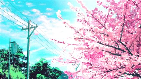 Cherry Blossom Wallpapers (73+ pictures)