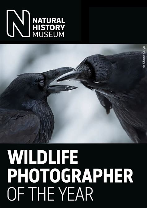 Wildlife Photographer of the Year 2023 - Photo Competitions - Archive - Archive