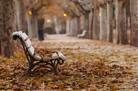 fall, Park, Bench, Leaves Wallpapers HD / Desktop and Mobile Backgrounds