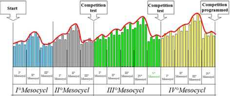 what is periodization training - Sport-Sys advanced training system