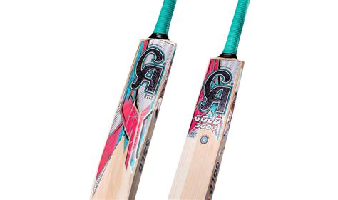 The Right Cricket Bat for You: Sizes, Brands and Materials