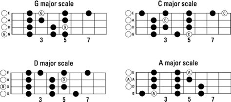 Getting Melodic with the Essential Mandolin Scales - dummies