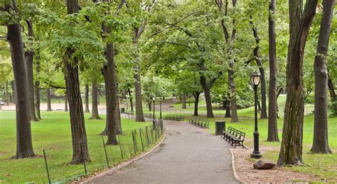 File:Central Park path.jpg - Wikimedia Commons