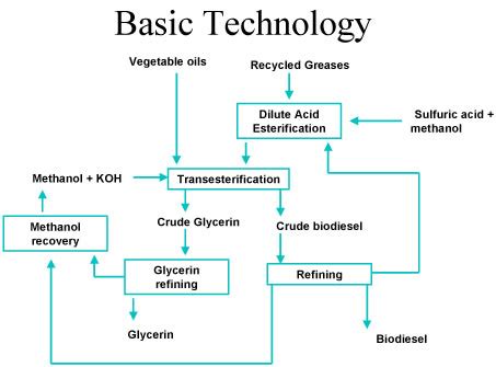 Biodiesel Production