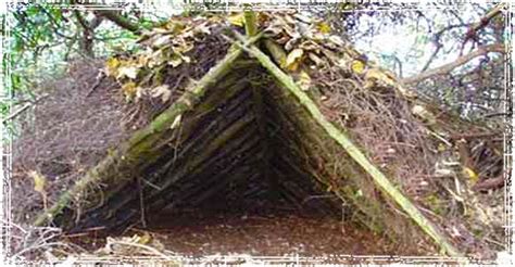 6 Widerness Survival Shelters