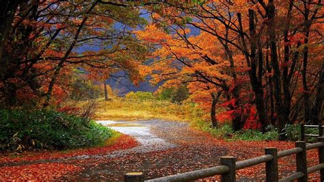 11+ Autumn Nature Wallpaper Desktop - Basty Wallpaper