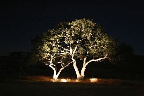 TREE LIGHTING. Amazing, isn't it, how lights can set a mood? They can be expensive, but adding ...