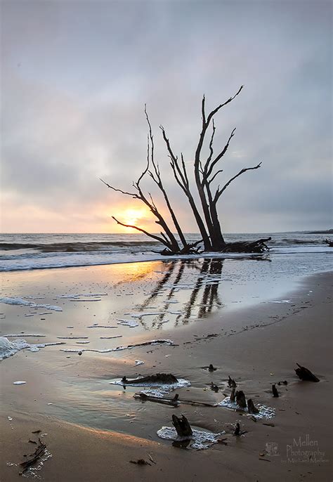 A day at "Boneyard Beach" | Mellen Photography